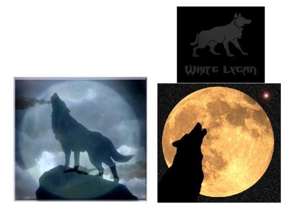 Wolves
who do you think it's from
