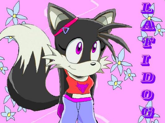 Latidog sonic style (new type)
I did this pic for Hao girl/Latidog and in my opinion its better than my own picture. ><;
Keywords: Latidog Hao girl Sonic style edit picture