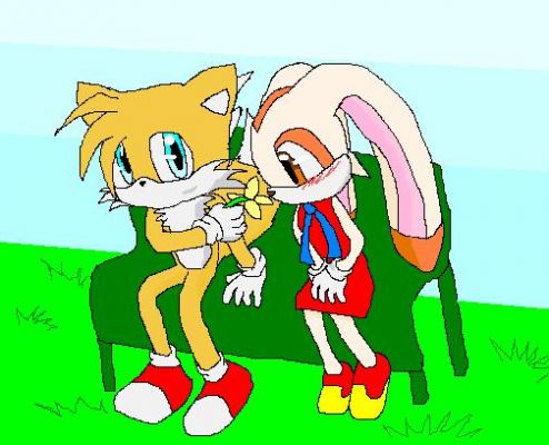 Cream X Tails
Another picture. yay.
