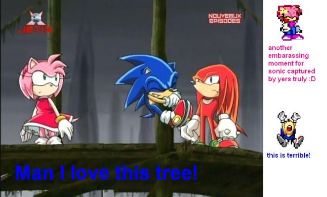 Sonic tree
