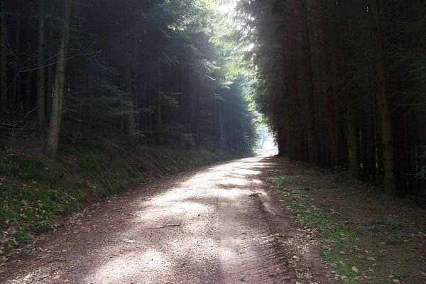 Schwarz Wald (black forest) 3
(at the end)
