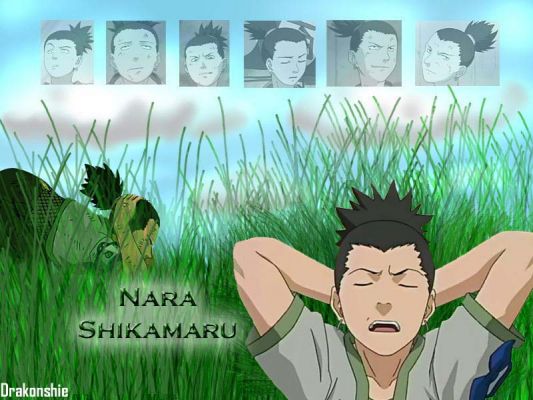 Shika...
Shikamaru Nara
Keywords: .