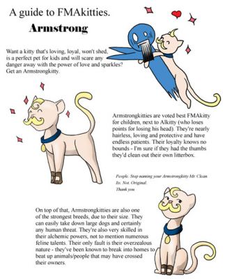 armstrong kitty
armstrong kitty
Keywords: .