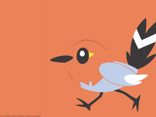 661fletchling1600x1200.jpg