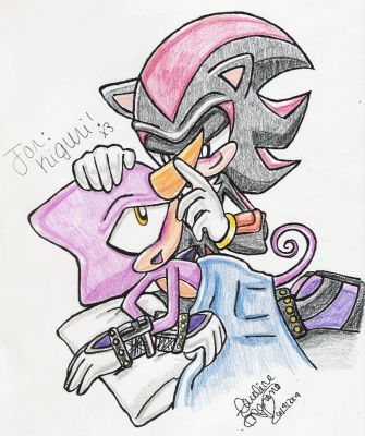 shadow and espio
for kan i will tell you whats going on here well its seems that shadow is looking at epsio deeply and they are both blushing sorry for saying it to long-mm72
