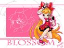 Blossom_Powerpuff_Z_Wallpaper_by_chibi_jen_hen.jpg