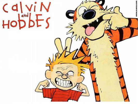 Calvin and Hobbes
My favorite comic book.

