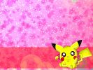 800 x 600 Female Pikachu.jpg
