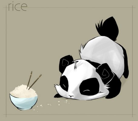 OMG PANDA!!
PANDAAAAAA!!!!!! ^^.....I like pandas

