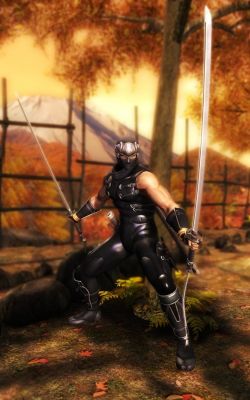 Ryu Hayabusa
from Ninja Gaiden Sigma
