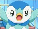 piplup.jpg