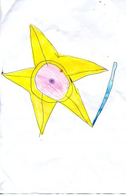 Qustry's Staryu
I drew this pic!!! It's alright but it is a bit scruffy
