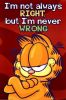 10220411A~Garfield-Never-Wrong-Posters.jpg