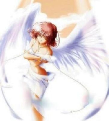 Angelic Wings
