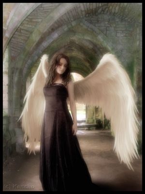 Wandering Angel
Keywords: Wandering Angel Bella