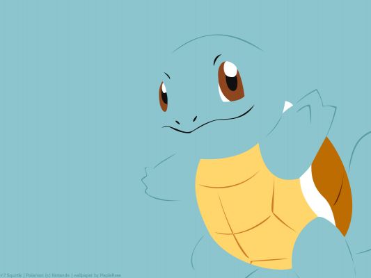 7squirtle1600x1200.jpg
