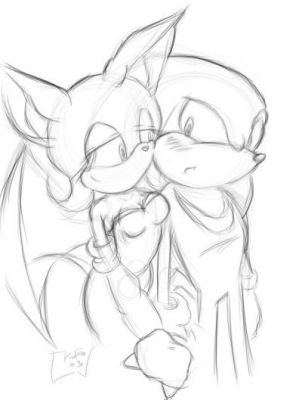 knuckles the echida and rouge the bat
