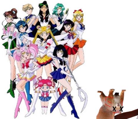 Sailor Moon gals for Cmaster
who ever killed the squrrel is yet a mystery....
Keywords: Charizard Master Sailor Moon Squrrel 