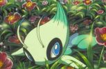 Celebi.jpg