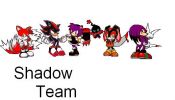 Shadow team.JPG
