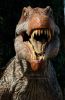 Spinosaurus_6031.jpg