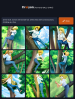 craiyon_091430_anime_style__woman_with_blonde_hair__white_dress_shirts_and_blue_jeans__climbing_up_a.png