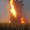 craiyon_094719_A_Godzilla_movie_directed_by_M__Night_Shyamalan__Corn_field_engulfed_in_flames.png
