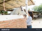 stock-photo-side-view-of-pretty-mid-adult-woman-about-to-kiss-a-horse-at-ranch-1247702647.jpg